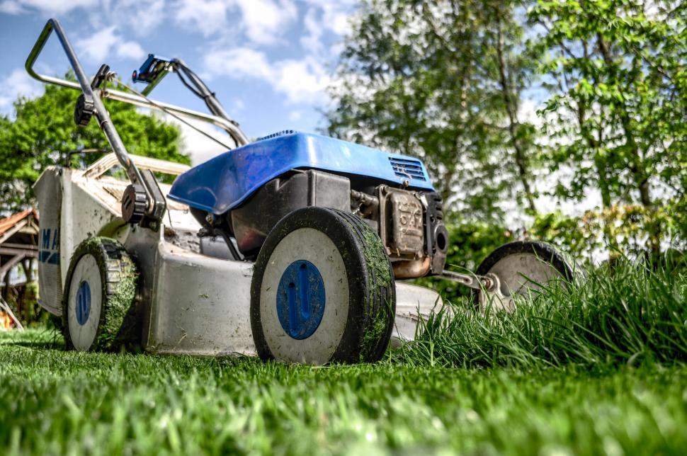 Lawn Mowing