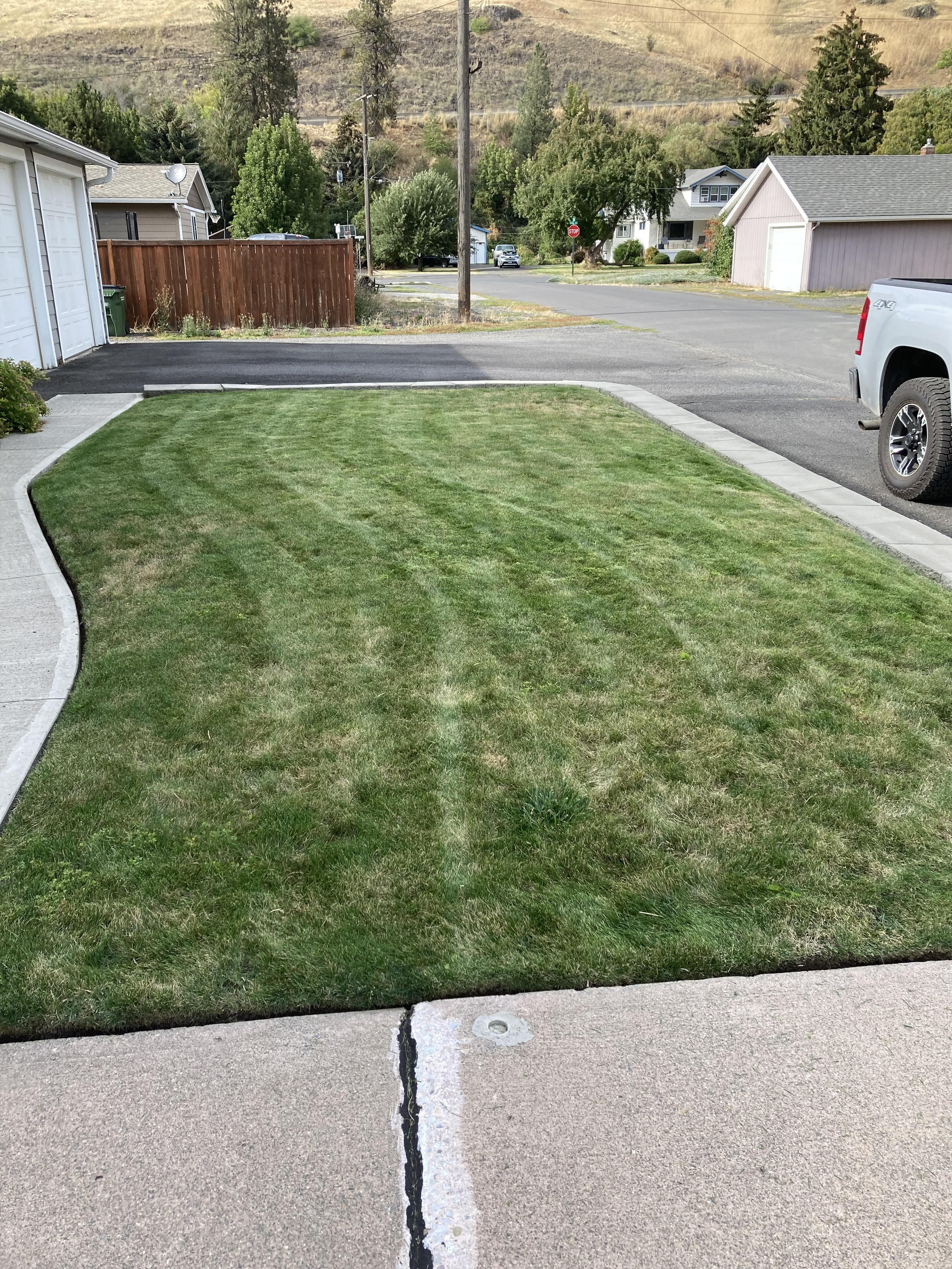 Lawn 1