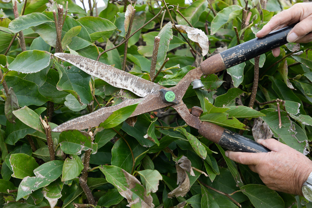 Trimming